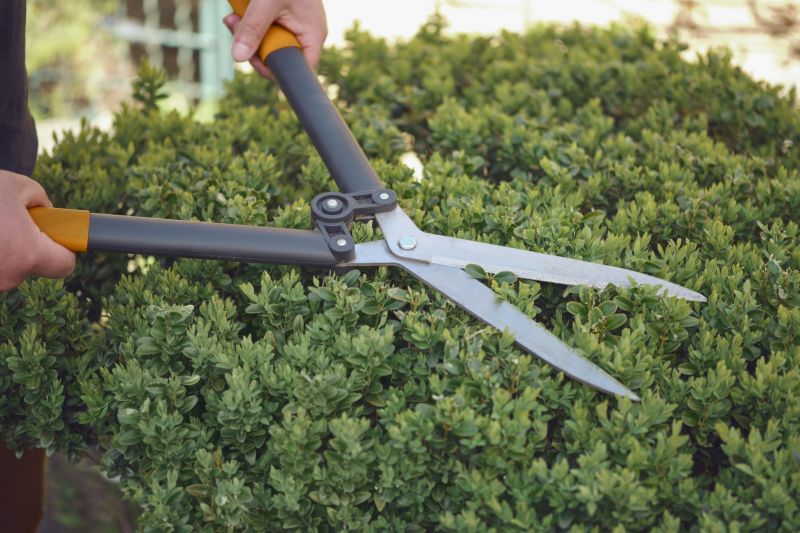 Tools for Shrub Trimming