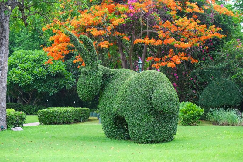 Topiary Shearing